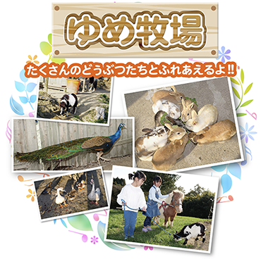 ゆめ牧場 ゆめ牧場